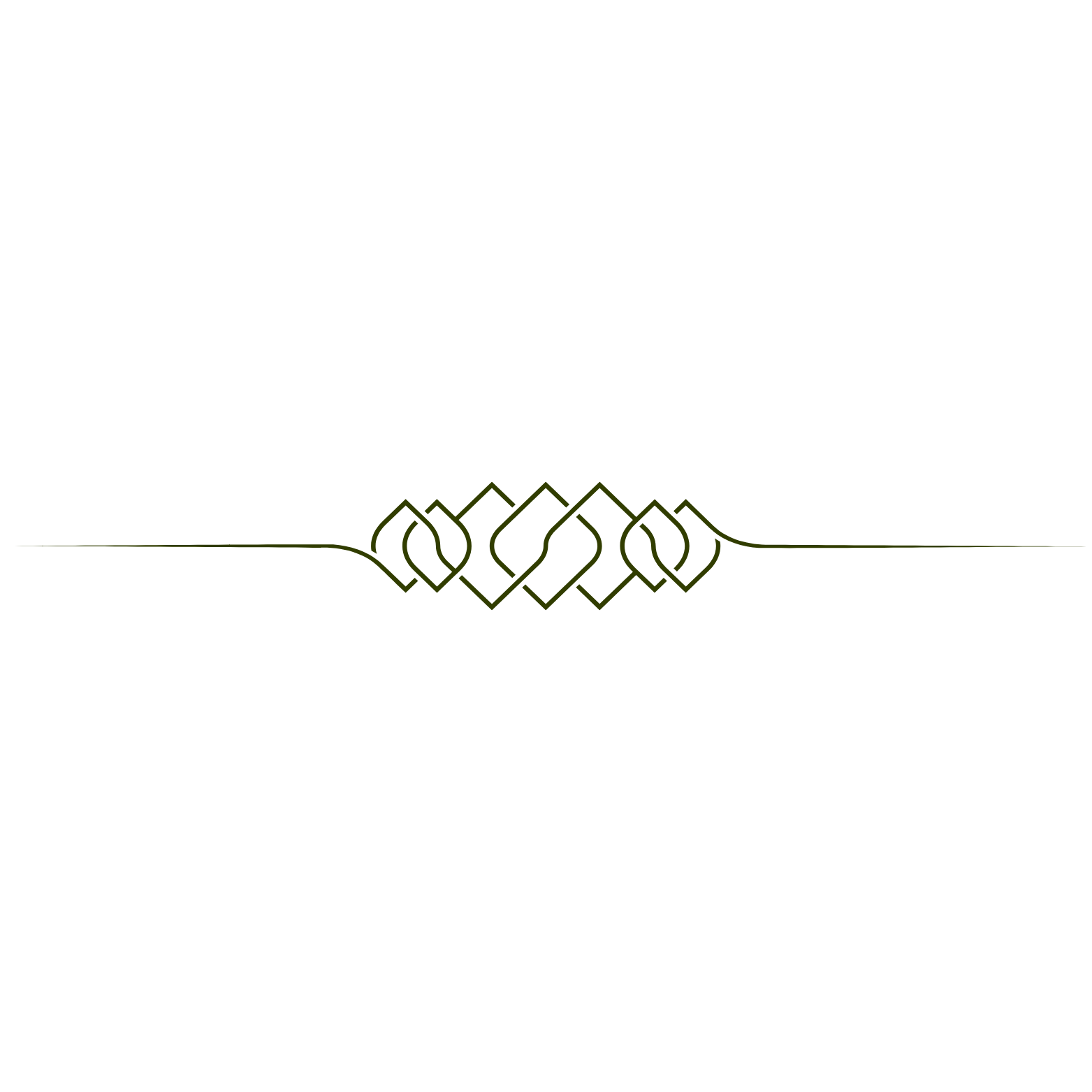 Wa Spa Logo